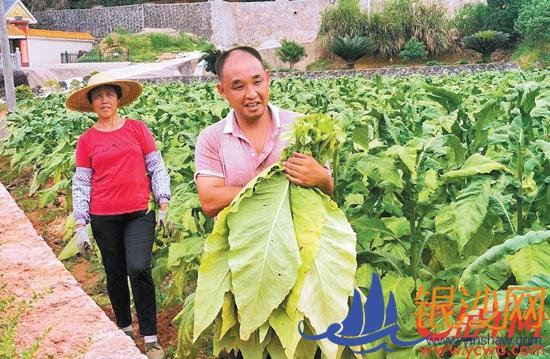 产业走出新路子 群众过上好日子