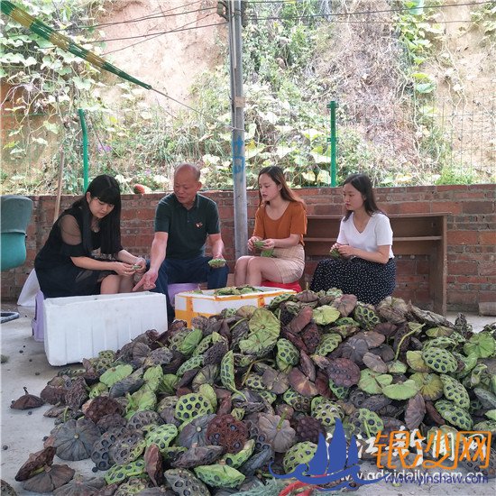 ����ƫƧ����� ������������