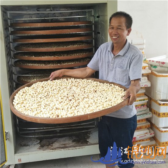 ����ƫƧ����� ������������