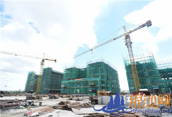 建学校 增学位 保入学