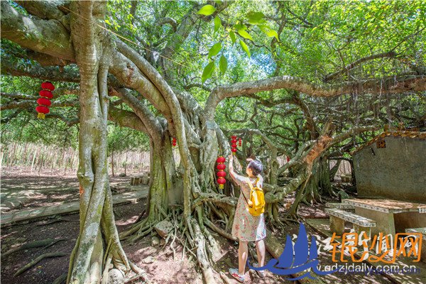 ��լ弴�����������ľ���� �������