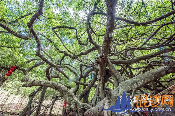 ��լ弴�����������ľ���� �������