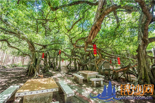 ��լ弴�����������ľ���� �������