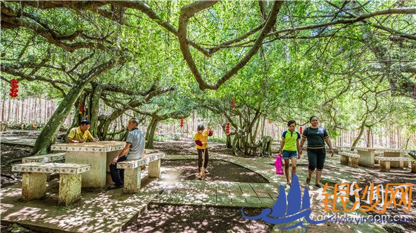 ��լ弴�����������ľ���� �������