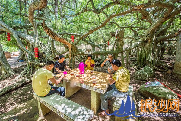 ��լ弴�����������ľ���� �������