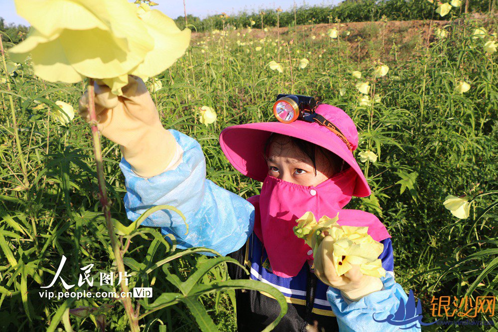 ���ճ�����������主ũ��