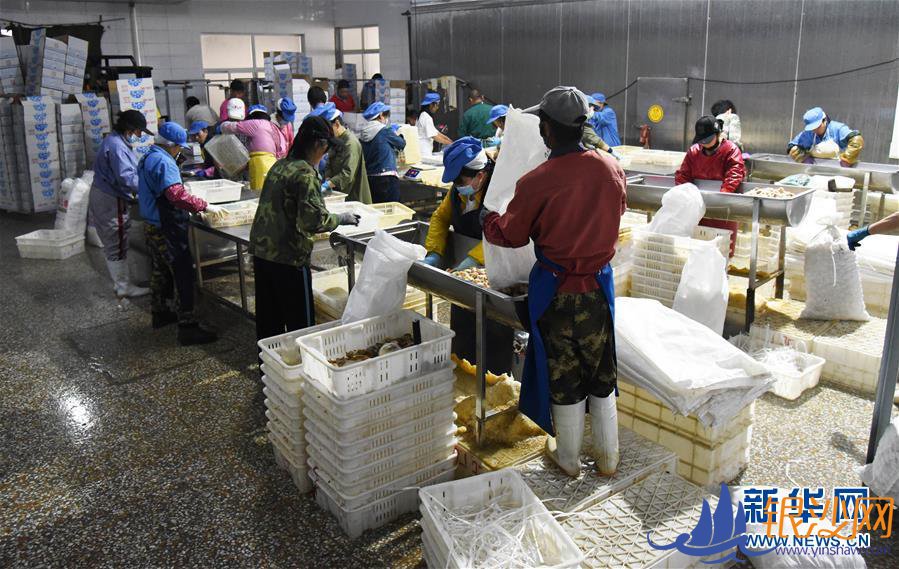 幸福小康入画来——齐鲁大地描绘小康新画卷