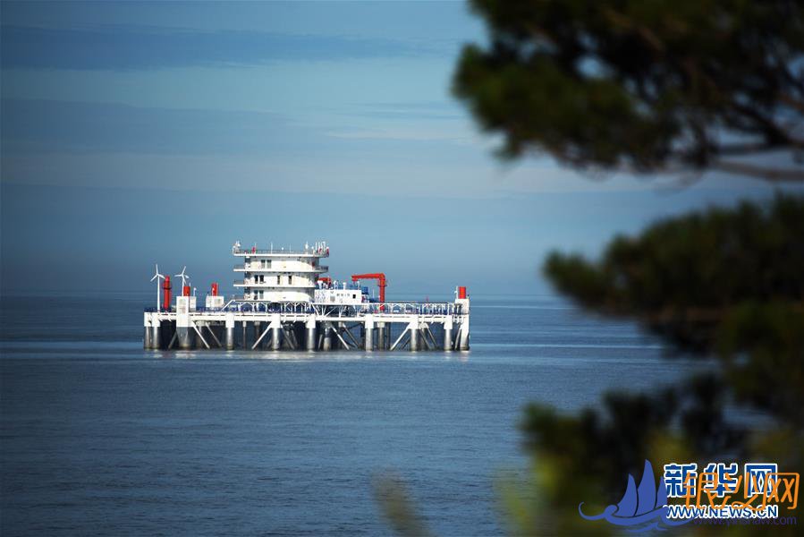 幸福小康入画来——齐鲁大地描绘小康新画卷