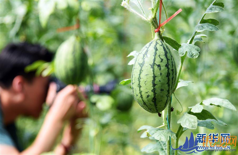  �Ҹ�С���뻭��������³������С���»���