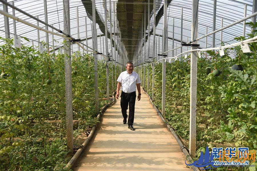  �Ҹ�С���뻭��������³������С���»���