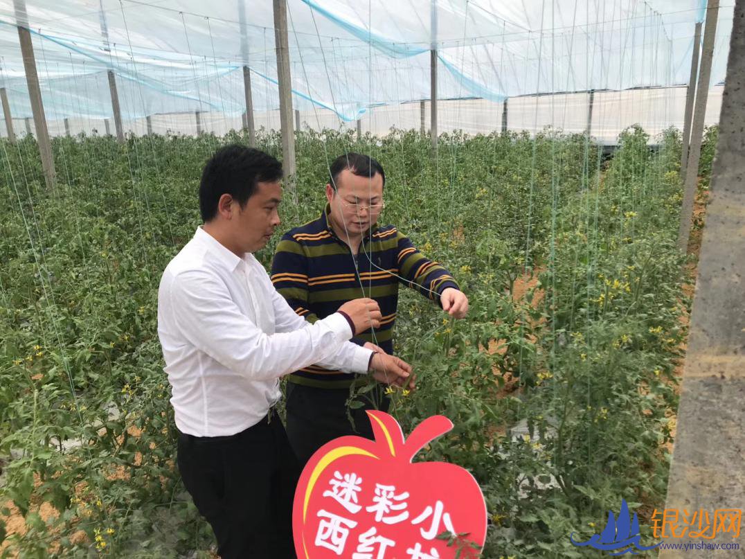 税务总局:释放税收政策红利 为脱贫攻坚注入强劲动能