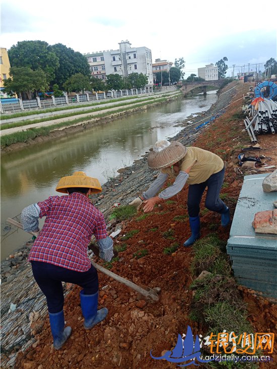 ��������������ֱ���