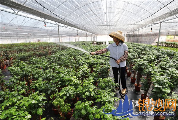 ��ɫ��ׯ��ɫ��չ ���˴�ׯ���˴���