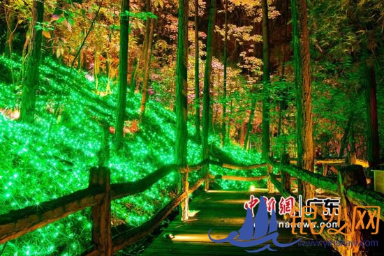 ��ɭ����Ӱ��ҹ����Ŀ֮ħ��ɭ�֡����� �� 