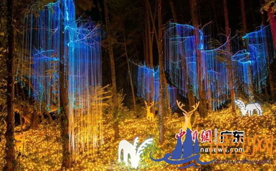 ��ɭ����Ӱ��ҹ����Ŀ֮���٪�޼͡����� �� 