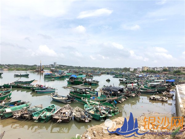 吴川1148艘渔船全部回港避风