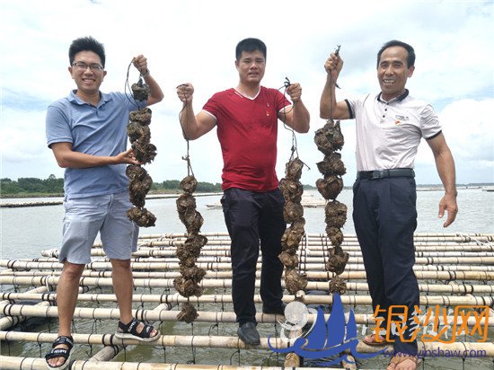 ����Ⱥ���߳��Ҹ�����򺡱·