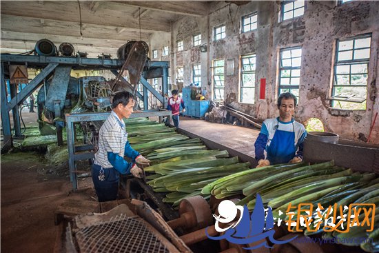 տ����ȫ���������������