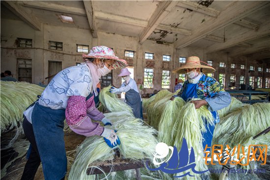 տ����ȫ���������������