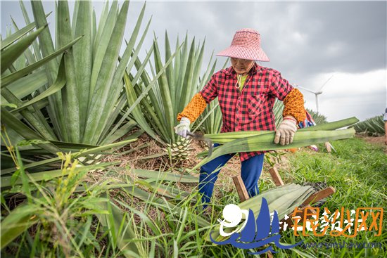 տ����ȫ���������������