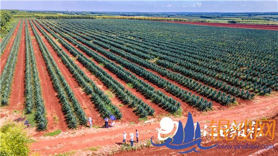 տ����ȫ���������������