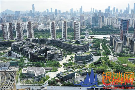 营商环境改革是“一号工程” 深圳今年持续推出利企举措