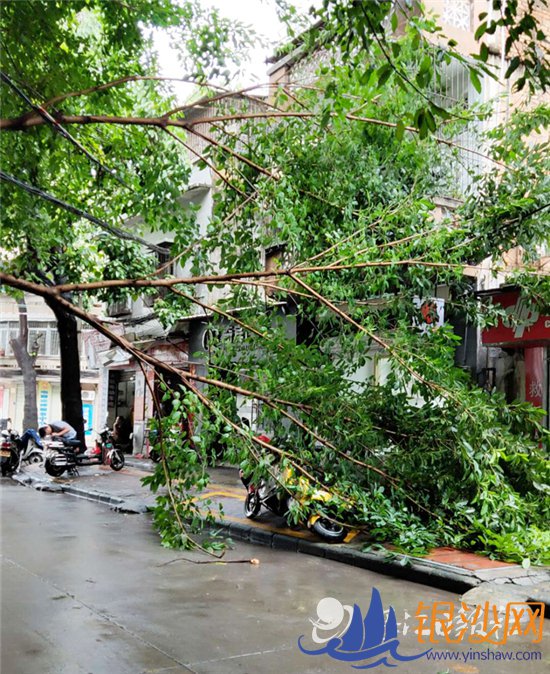 ��·�����ľ���