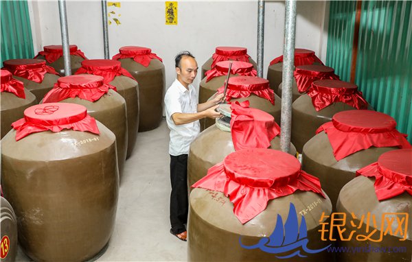 雷州市南兴镇:项目准个个赚大钱 民生好户户分红利