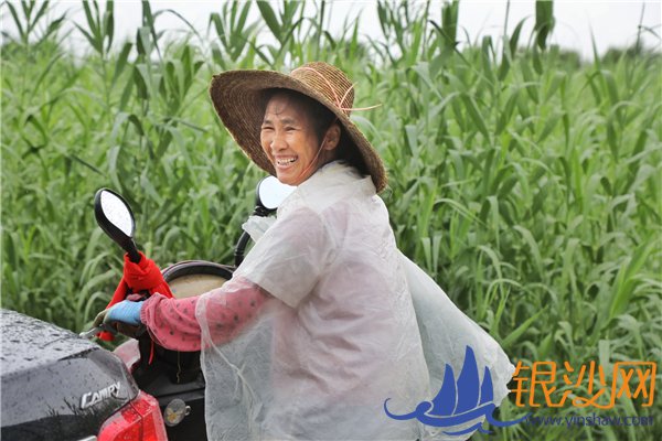 雷州市南兴镇:项目准个个赚大钱 民生好户户分红利