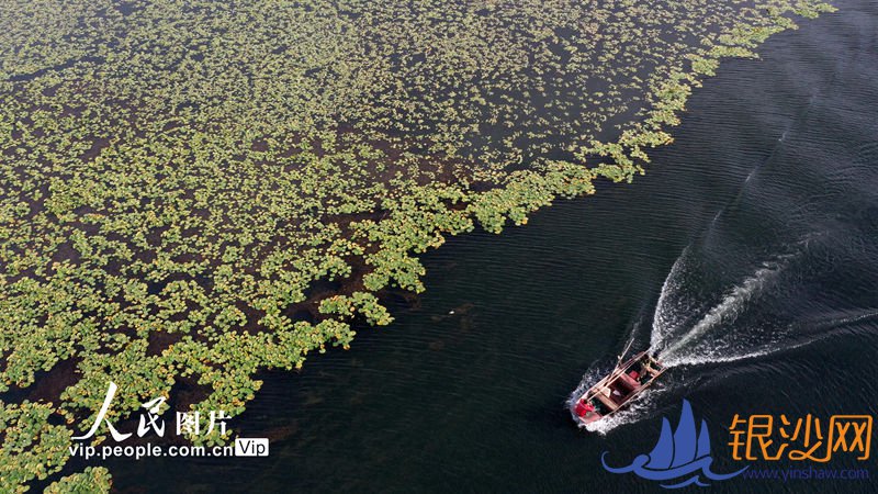 �½�����˹�ں��ﲶ