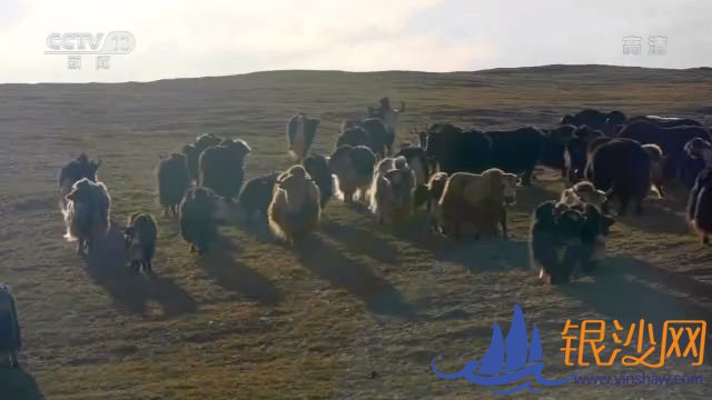  һ��һկ�ܹ���ح����Դ�壺��̬��Ǩ��������Ҹ�������