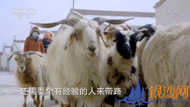  һ��һկ�ܹ���ح����Դ�壺��̬��Ǩ��������Ҹ�������