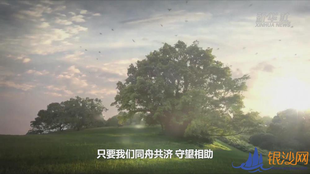  ΢��Ƶ���������� �����빲