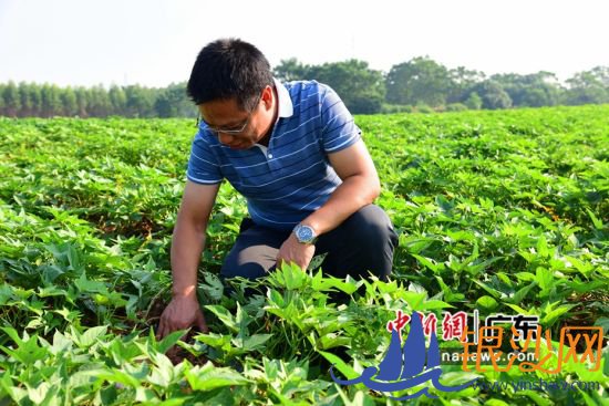 �н��ĺ���פ�����й��ʹ��һ�����ΰ���쿴������������� �н��ĺ��ֹ�ͼ 