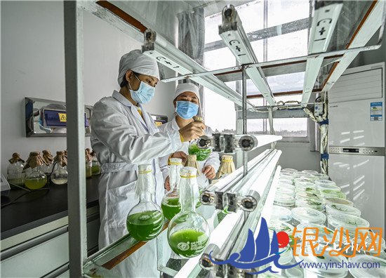 տ���������æµ������