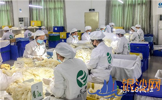 տ���������æµ������