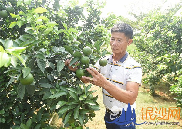 “破茧成蝶”换新颜走上“绿富美”康庄大道