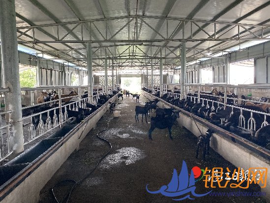 坡头区巴东村:多管齐下助脱贫