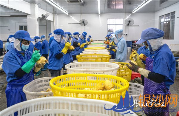 面对疫情大考危中寻“机”