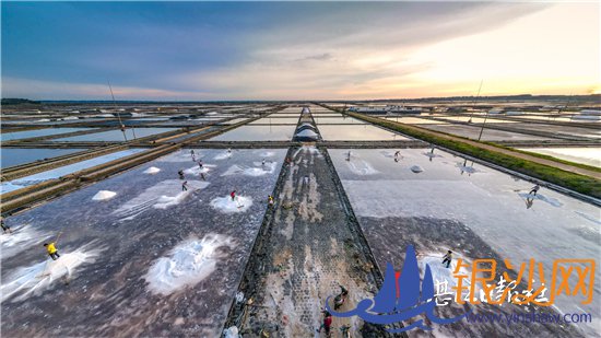 雷州半岛晒制海盐12道古法