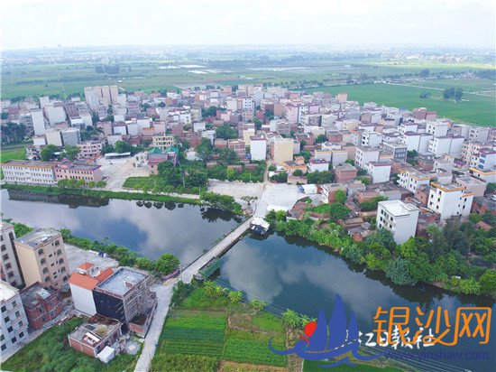 一个革命老区村的蜕变之路