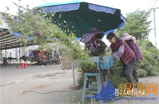 ��������Ϻ������ӱ�