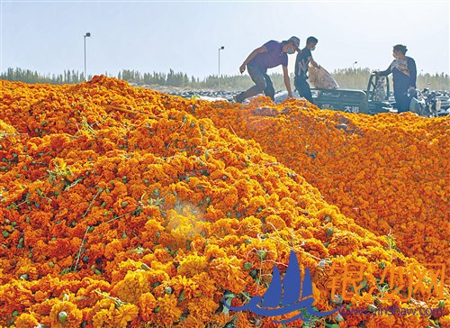  ��ҵ������ƶ�����½����������ٽ���ҵ��ʵ