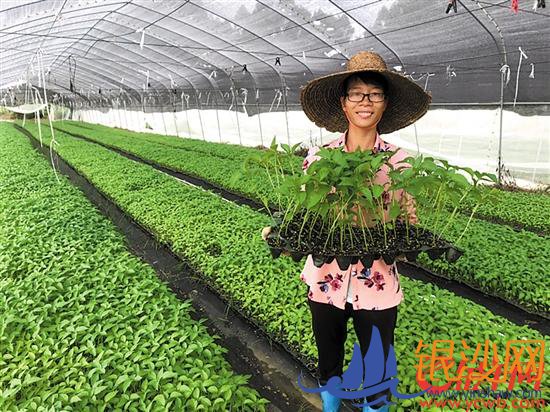  ����ʦ������Դ����� �������С����Ʒ���