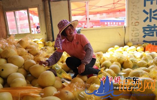 图为安墩镇的蜜柚 惠东县宣传部供图 图为安墩镇的蜜柚 惠东县宣传部供图