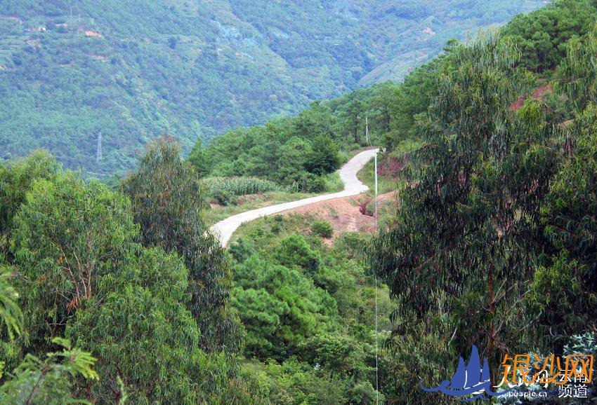 云南漾濞:乡村公路通了 致富希望来了