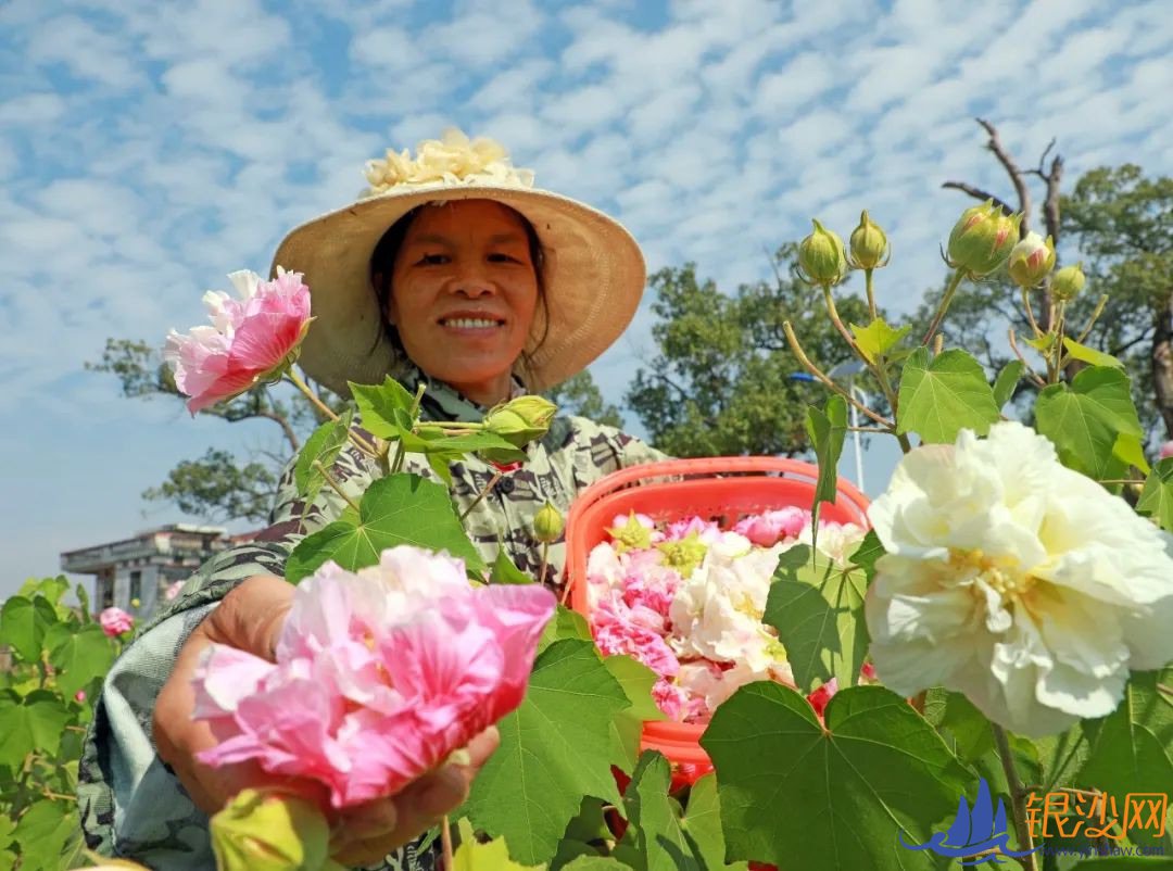 这五年,五大发展理念这样改变我们的生活