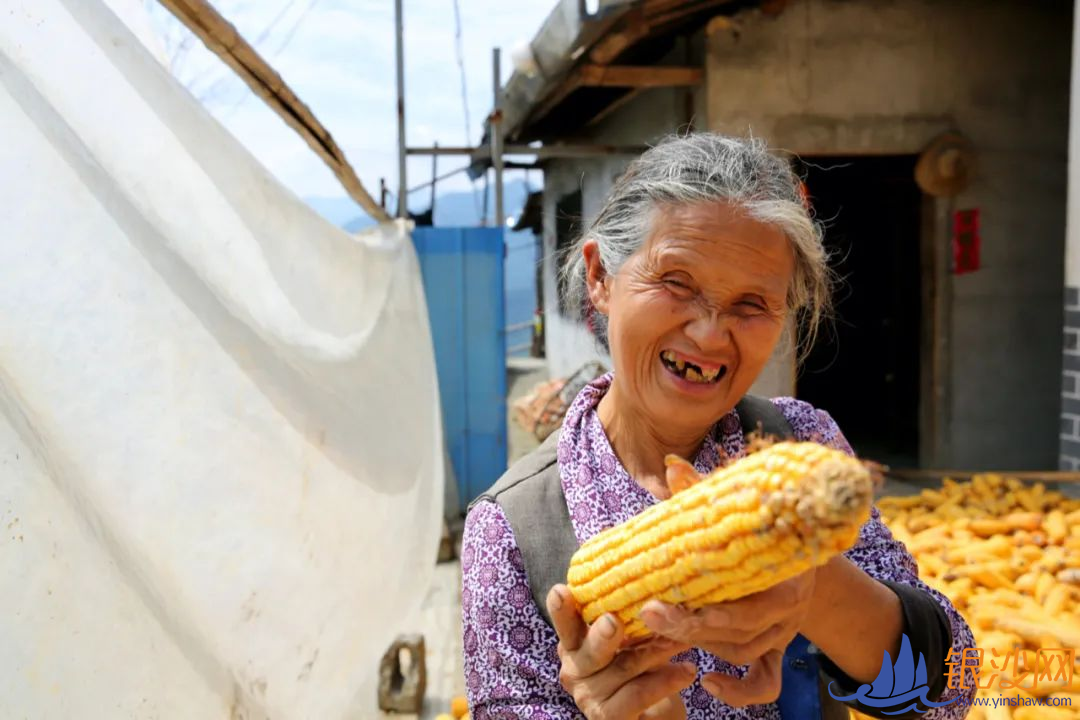 这五年,五大发展理念这样改变我们的生活