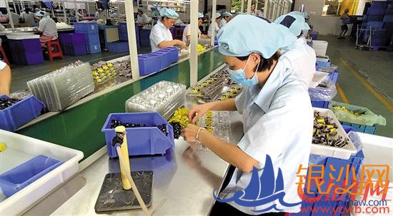 “十三五”收官之年 广东做好加试题答出高分卷