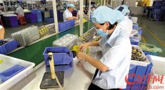  ��ʮ���塱�չ�֮�� �㶫���ü�����